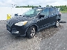 1FMCU9G96DU****** Used and Repairable 2013 Ford Escape in Clearwater