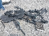 KNDPC3AC0G7****** Destrozados 2016 Kia Sportage en Estado de Florida