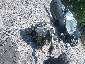 1G1FB1RX9J0****** Reparables 2018 Chevrolet Camaro en Albany