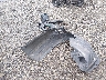 JM1GL1U5XH1****** Wrecked 2017 Mazda 6 in Maryland State