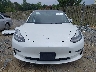 5YJ3E1EA3LF****** Wrecked 2020 Tesla Model 3 in Virginia State