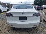 5YJ3E1EA3LF****** Wrecked 2020 Tesla Model 3