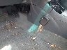 2HGES16485H****** Salvage 2005 Honda Civic in Georgia State