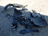 2C3CDXBG3MH****** Wrecked 2021 Dodge Charger in California State