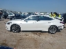 58AFZ1B11PU****** Reparables 2023 Lexus ES en Estado de Texas