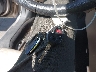 4S3BNAA6XG3****** Salvage 2016 Subaru Legacy in Connecticut State