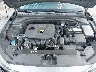 5NPD74LF4LH****** Repairable 2020 Hyundai Elantra in West Palm Beach