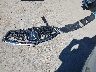 5FRYD4H53HB****** Salvamento 2017 Acura MDX en Estado de California