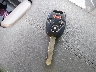 1HGCP2F81AA****** Salvamento 2010 Honda Accord en Estado de Luisiana