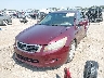 1HGCP367X8A****** Usados y Reparables 2008 Honda Accord en Fort Worth North