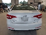 5NPE34AF0FH****** Salvage 2015 Hyundai Sonata