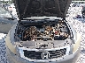 1HGCP2E32AA****** Repairable 2010 Honda Accord in Mobile