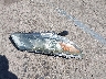 5J6TF1H32CL****** Wrecked 2012 Honda Crosstour in California State