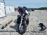 1HD1FCW175Y****** Used and Repairable 2005 Harley-Davidson FLHTCUI in Indiana State