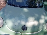 3VWDD21C32M****** Repairable 2002 Volkswagen New Beetle in Tidewater