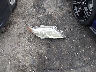 4T1BF3EK4AU****** Wrecked 2010 Toyota Camry in North Carolina State