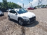 KM8K6CAB3PU****** Salvage and Wrecked 2023 Hyundai Kona in Bridgeport