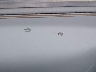 1GCEK14K0PZ****** Used 1993 Chevrolet C/K