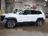 1C4PJMBX8LD****** Salvamento 2020 Jeep Cherokee