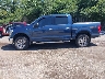 1FTEW1EF5GF****** Salvamento 2016 Ford F-150