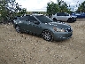 1HGCP3F86AA****** Salvage and Wrecked 2010 Honda Accord in Fort Myers