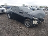 4T1BF1FK7FU****** Salvamento y Destrozados 2015 Toyota Camry en Avenel New Jersey