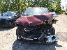 1FTEW1EG7GF****** Destrozados 2016 Ford F-150 en Estado de Ohio