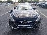 5NPE24AF3KH****** Salvamento 2019 Hyundai Sonata en Estado de Florida