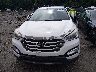 5XYZUDLB5GG****** Destrozados 2016 Hyundai Santa Fe en Estado de Massachusetts