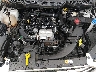 MAJ3S2GE6MC****** Reparables 2021 Ford Ecosport en Fort Myers