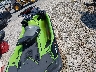 00000YDV441****** Used and Repairable 2020 Sea-Doo Rxt-x 300 in Missouri State