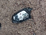 5NPLS4AG2PH****** Wrecked 2023 Hyundai Elantra in Wisconsin State