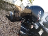 BUJ5777***** Repairable 2022 Tracker Other in Lafayette