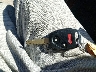 JHMGE8H52CC****** Salvage 2012 Honda Fit in Massachusetts State