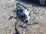 5UX53DP00P9****** Wrecked 2023 BMW X3 in Massachusetts State