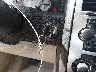 2C3JA63H55H****** Salvamento 2005 Chrysler 300C en Estado de Texas