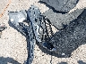 1HGCR2F73HA****** Wrecked 2017 Honda Accord in New Mexico State