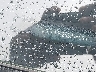 4JGFB4FB2SB****** Usados 2025 Mercedes-Benz GLE-Class