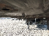 1JJV532B3KL****** Reparables 2019 Wabash Refrigerated Van en Specialty Division