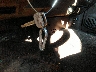 5TBRT38142S****** Salvamento 2002 Toyota Tundra en Estado de Texas