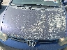 2HGFG12657H****** Salvamento y Reparables 2007 Honda Civic en Estado de Texas
