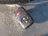 JTMBK31V495****** Salvage 2009 Toyota RAV4 in California State