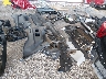 1FMJU1H8XSE****** Usados y Reparables 2025 Ford Expedition en Lafayette