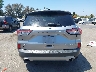 1FMCU9G62MU****** Wrecked 2021 Ford Escape