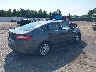 3FA6P0H75GR****** Salvage and Wrecked 2016 Ford Fusion in Indiana State