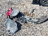 1FMCU0GD9KU****** Wrecked 2019 Ford Escape in Michigan State