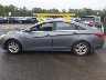 5NPEB4AC0DH****** Repairable 2013 Hyundai Sonata in Connecticut State