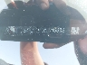 3GTU9DEDXLG****** Used 2020 GMC Sierra 1500 in Lubbock