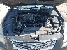 1N4BA41E48C****** Repairable 2008 Nissan Maxima in Oklahoma City
