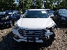 5NMZUDLB5HH****** Destrozados 2017 Hyundai Santa Fe en Estado de Ohio